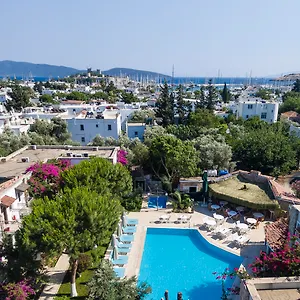 https://moonshine-hotel-suites.aegeanhotels.net